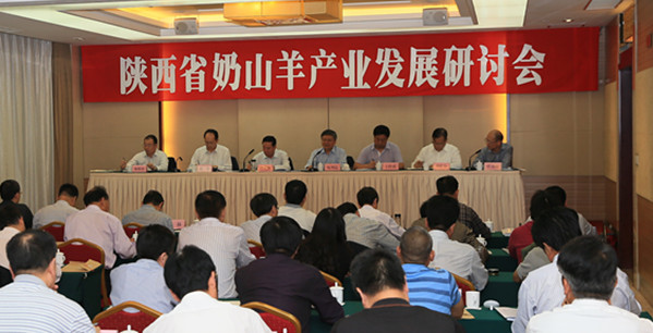 CA88(中国)唯一官方网站入口