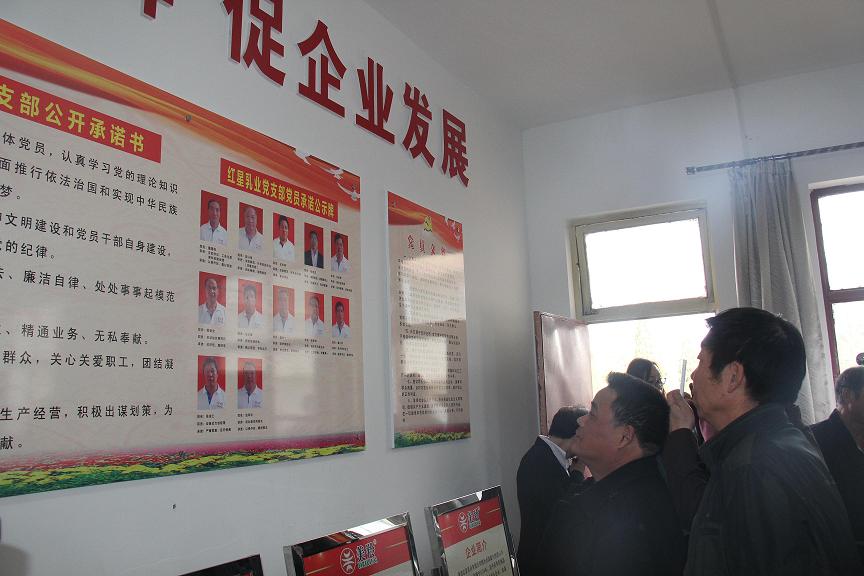 1-1512031I410935 CA88(中国)唯一官方网站入口