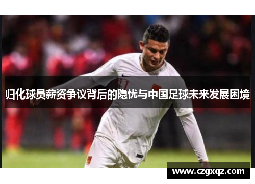 归化球员薪资争议背后的隐忧与中国足球未来发展困境